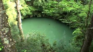 preview picture of video 'Florida's Aquifer Adventure - Wakulla Springs'
