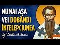 Cum Să Devii Înțelept și Virtuos Sf Vasile Cel Mare