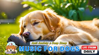 Healing Dog Music 🐶Soothing Sounds for Dog Deep Relaxation🐶Separation Anxiety Relief music for Dogs
