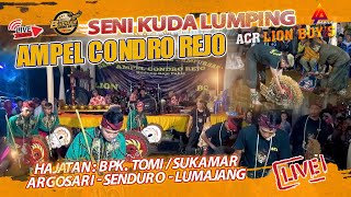 Download lagu 🛑 JARANAN AMPEL CONDRO REJO | ACR LION BOY'S DARI MALANG | HAJATAN BPK TOMI SUKAMAR ARGOSARI MALAM mp3