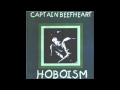 Captain Beefheart - Sun Zoom Spark (Hoboism Album)