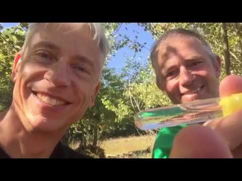 Auf Goldsuche am Elvo (Italien)