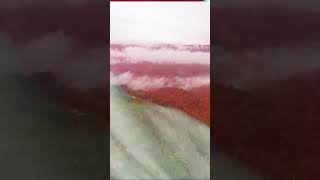 Download lagu story wa sumpah pemuda 2021#shorts mp3