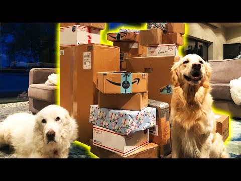 THE BIGGEST FAN MAIL PACKAGE EVER - Super Cooper Sunday #189
