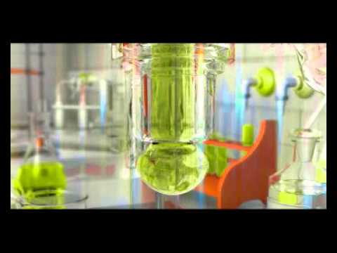 Dream Dance Alliance - Summer Dreams (Official Video)