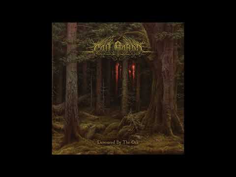 Cân Bardd - Une couronne de branches (2021) HQ