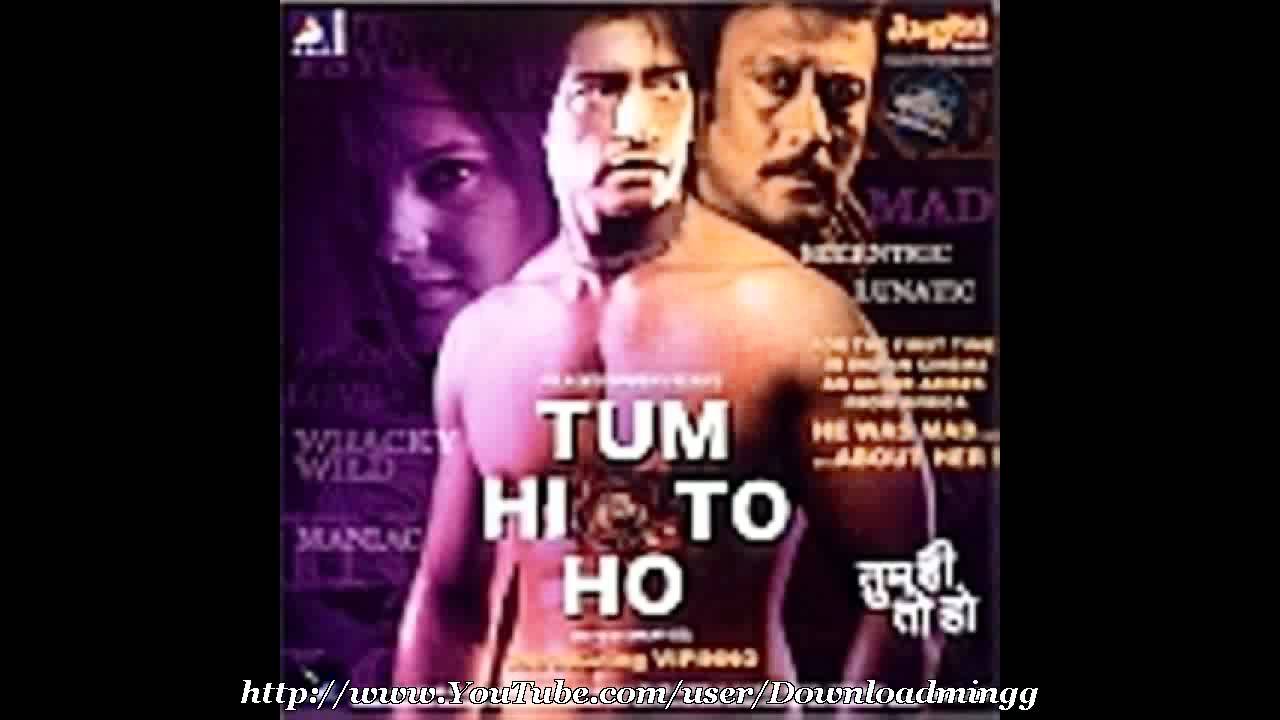 Teri Shame Mere Savere Lyrics | Tum Hi To Ho | Gayatri Ganjawala, Shaan | Anand Milind