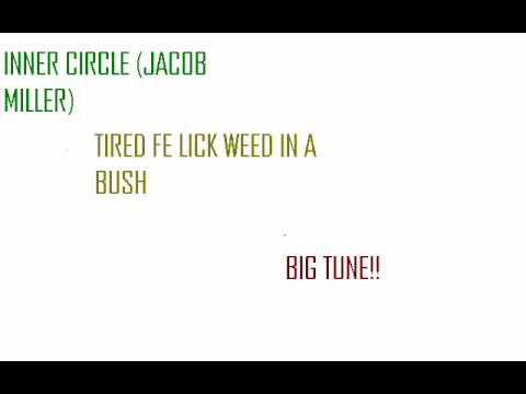 INNER CIRCLE (JACOB MILLER) - TIRED FI LICK WEED IN A BUSH