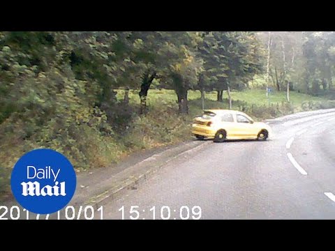 Dramatic moment out of control 'hot hatch' crashes into tree - Daily Mail