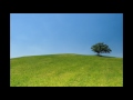 Suono Rilassante Del Vento Suoni Della Natura Ideale Per La Meditazione E Per Combattere Lo Stress