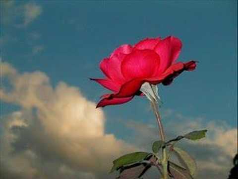 Denklem - Allah Rızası