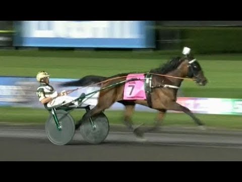 Manchego & Yannick Gingras wins Hambletonian Oaks 1st elim. in 1.51,1 (1.09,1) at Meadowlands.