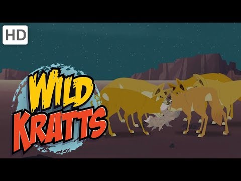 Wild Kratts - Creatures of the Night