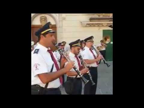 N.Ippolito: LIGONZIANA