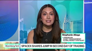 SpaceX Stocks Still Volatile, Says JPMorgan Strategist