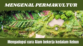 Download lagu Getting to know Permaculture: Farming by understanding how nature works to fertilize the soil and... mp3