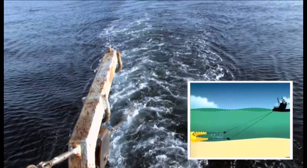 Jomfruhummerfiskeri 07092012