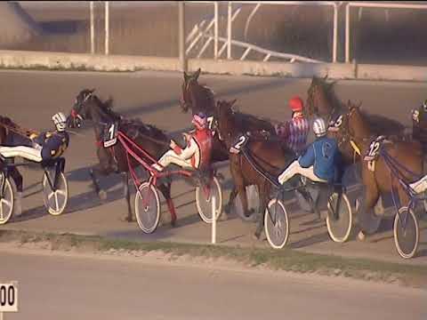 Trotto 21/12/2018 - 2ª corsa