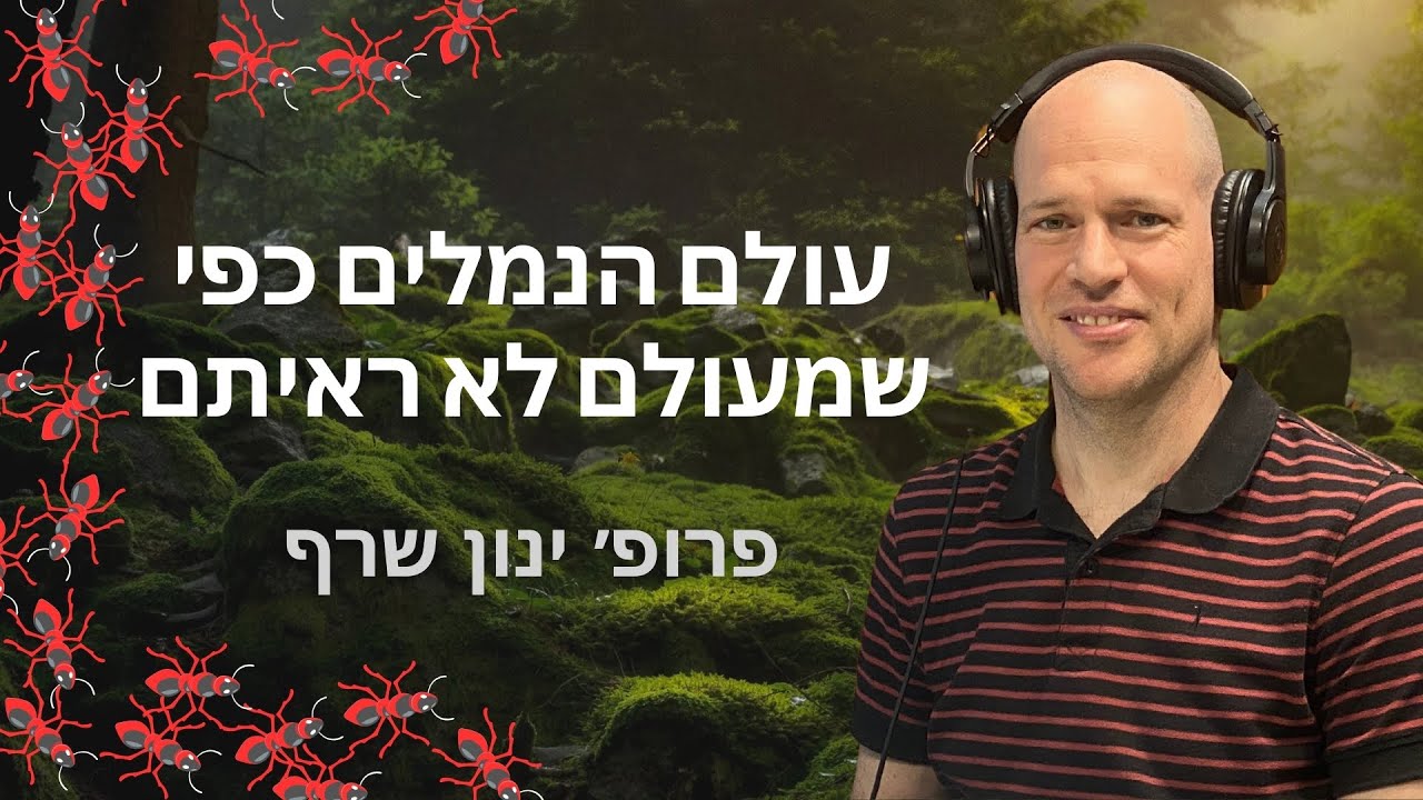 עולם הנמלים כפי שמעולם לא ראיתם | טבע הסביבה