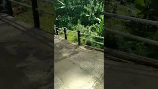Download lagu Track jalan santai ke curug candung #garut #fyp #jalansantai #jalansehat #lemburkuring #airterjun mp3
