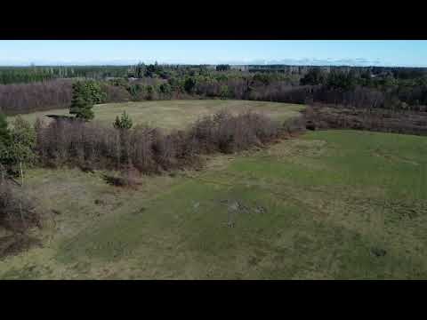 Campos de Yungay-chile