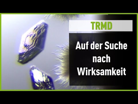 Behandlung Sporen auf der Hüfte Wirksame Salbe für Gelenkschmerzen Bewertungen