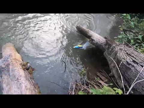 $100 brushless RC boat creek rip & bash Alpharev r608