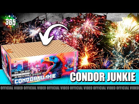 Condor Junkie