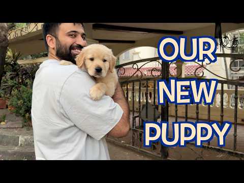 SURPRISING YOGI AND MOM WITH OUR NEW PUPPY!! 🐶 - S3E17