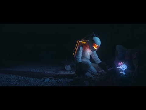 Cvijet - Daleka Obala