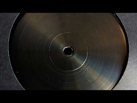 Zion Train - Get Ready (Radikal Guru Remix)