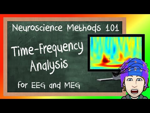 Time-Frequency Analysis for EEG/MEG Explained! | Neuroscience Methods 101