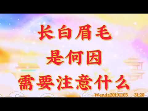 長白眉毛