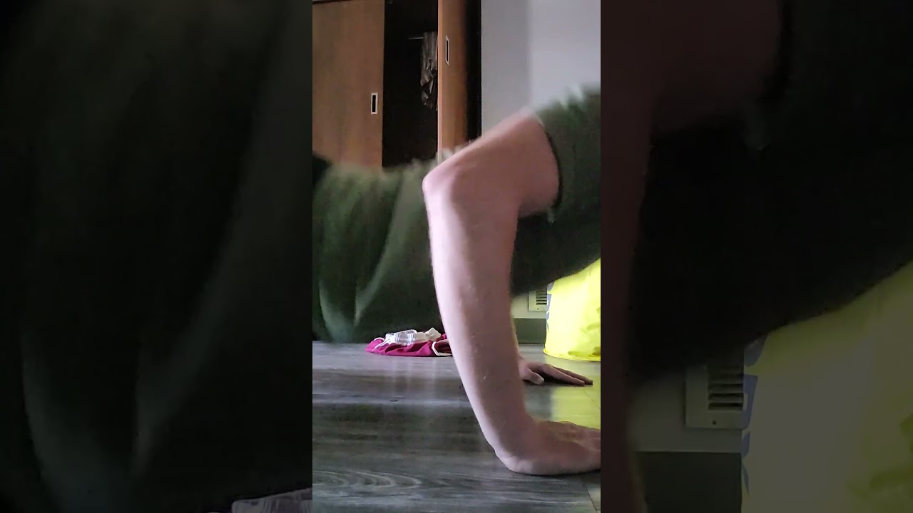 (Day 338): 73 Push Ups + 30 15/15/15/15/13 20/10