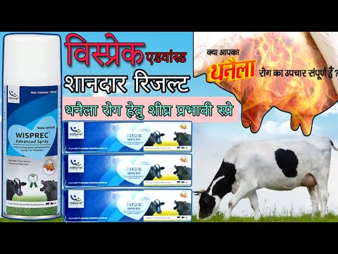 Wisprec advanced cream (anti-inflammatory cream), packaging ...