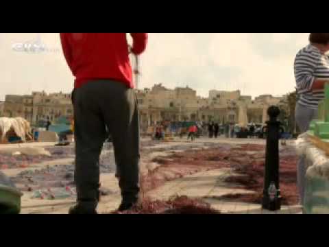 News Channel Midday Edition: April 1, 2011 - CBN.com