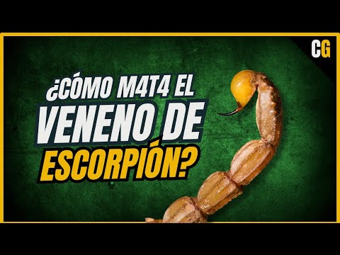 ¿Como ATACA a Nuestro Cuerpo? - VENENO DE ESCORPIÓN y Escorpionismo Explicados