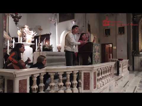 O Desígnio - Alberto Marani