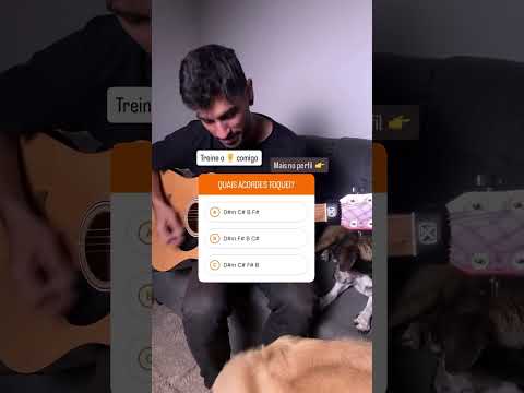 Pneu Balão - Virginia Machado & Arion Kurtz