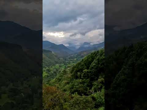 EL MEJOR MIRADOR DE SALENTO ⛰️ Valle de Cocora, Quindío [4K] #shorts