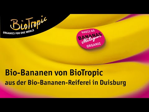 Von Einweg zu Mehrweg: Unsere Bio-Bananen kommen jetzt in die EPS-Kiste