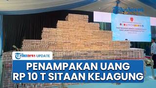 Penampakan Tumpukan Uang Rp 10,2 T Sitaan Penertiban Kawasan Hutan, bak Piramida Setinggi 3 Meter