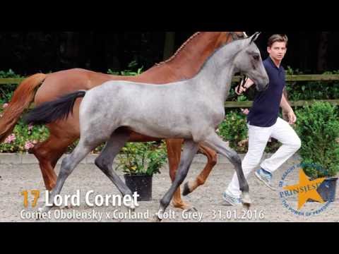 17 Lord Cornet (Cornet Obolensky x Corland)