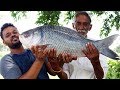 10 Kg Big Fish Recipe Cooking By Our Grandpa Big Fish Curry Donating To Orphans