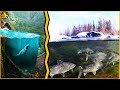 How Do Fish Survive In A Frozen Lake THEY DON T FREEZE