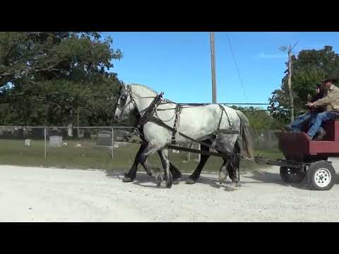 Sky and Bob October 2022