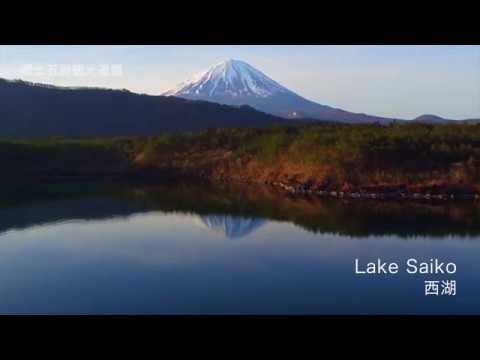 西湖と青木ヶ原樹海