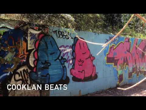 TV Rock ft. Seany B - Flaunt It (Kidd K Bootleg)