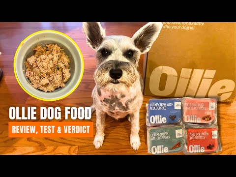 Ollie Dog Food Review: Unboxing, Test & Should You Buy It?