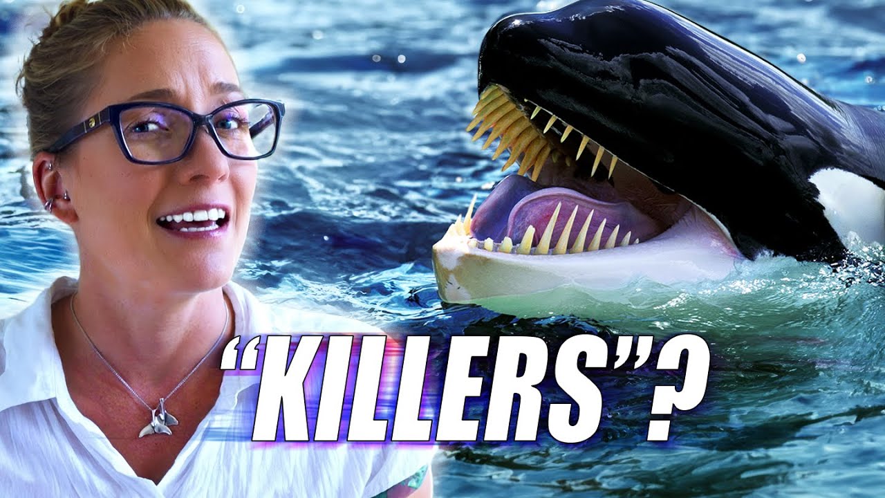 Are Orcas Really "Killer" Whales?